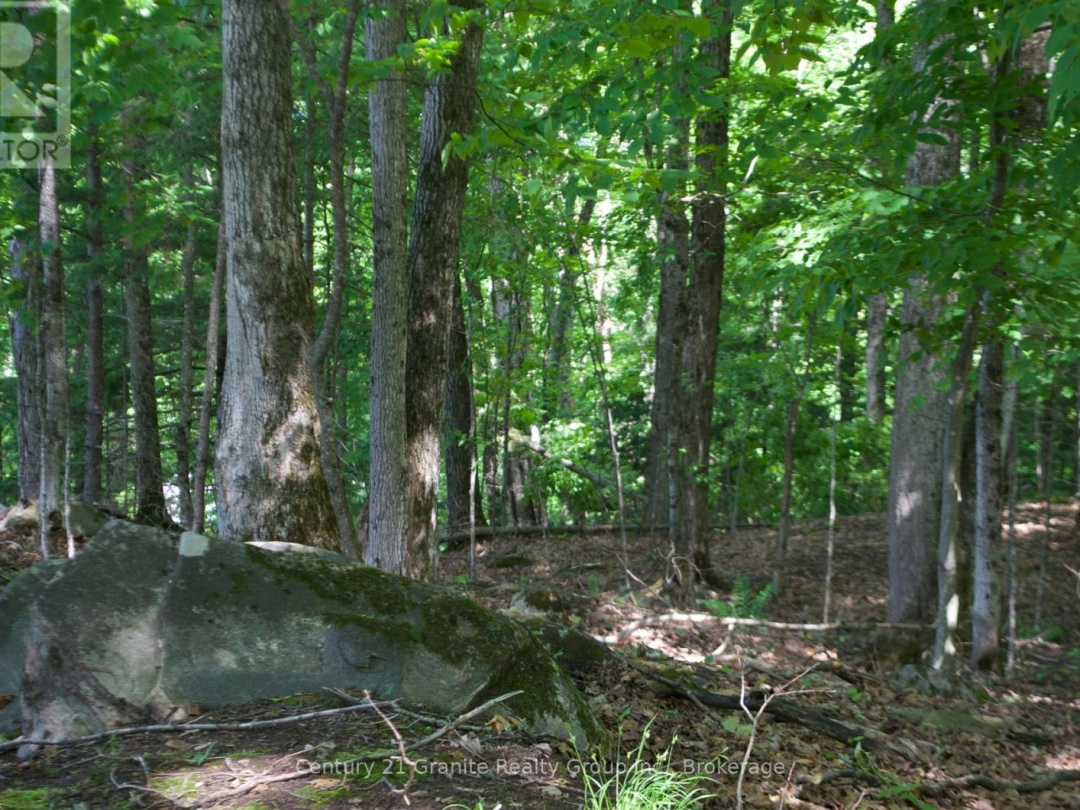 LOT 7 RIDGEVIEW ROAD, 