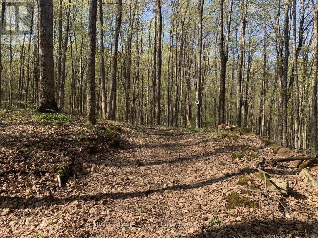 0 KASHAGAWIGAMOG LAKE ROAD, 