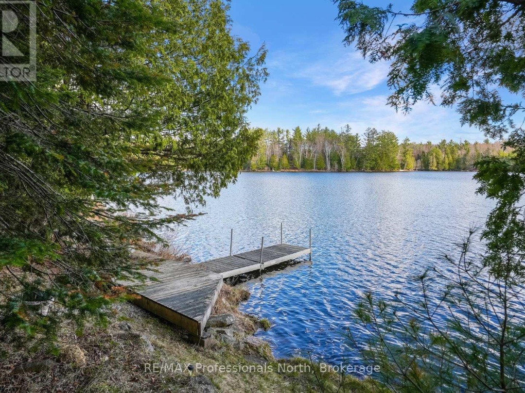 1107 PLUTO TRAIL, Boyne Lake