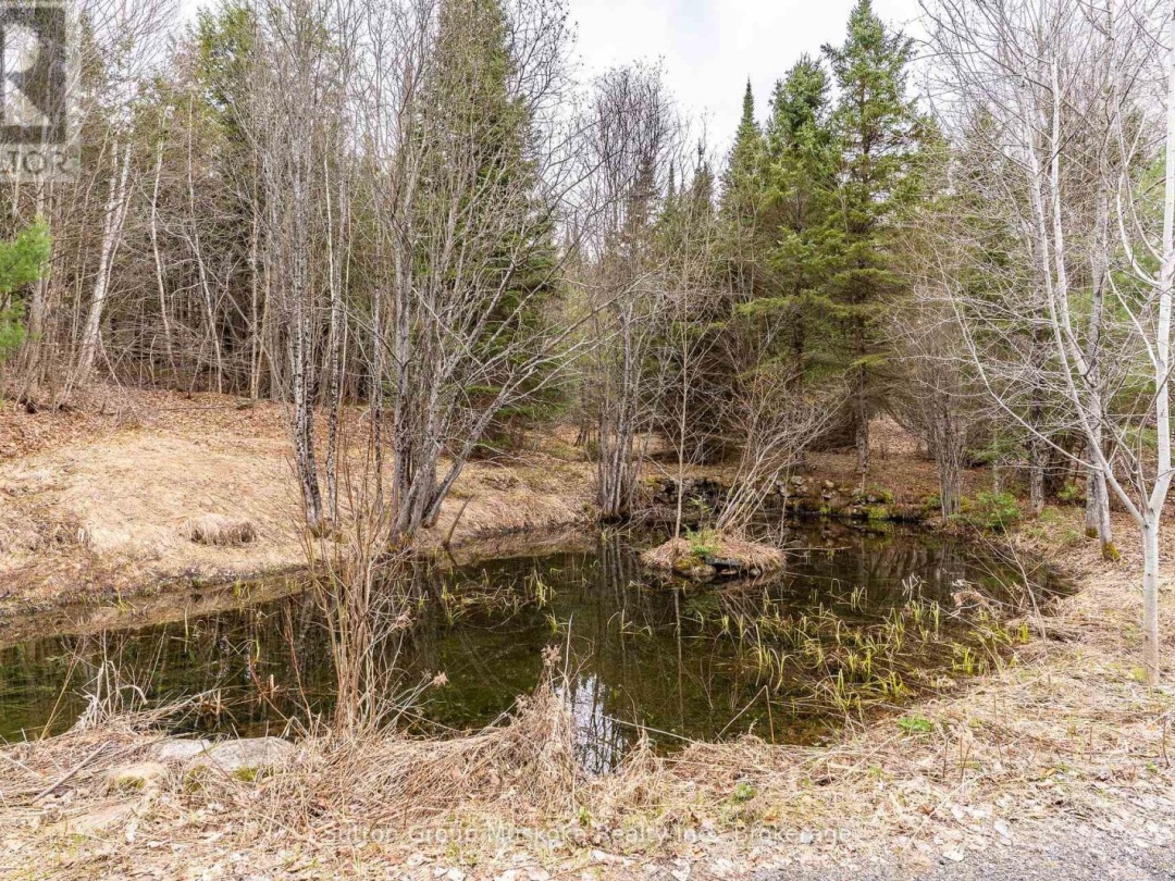 209 SWALLOWDALE ROAD, Huntsville (Brunel)