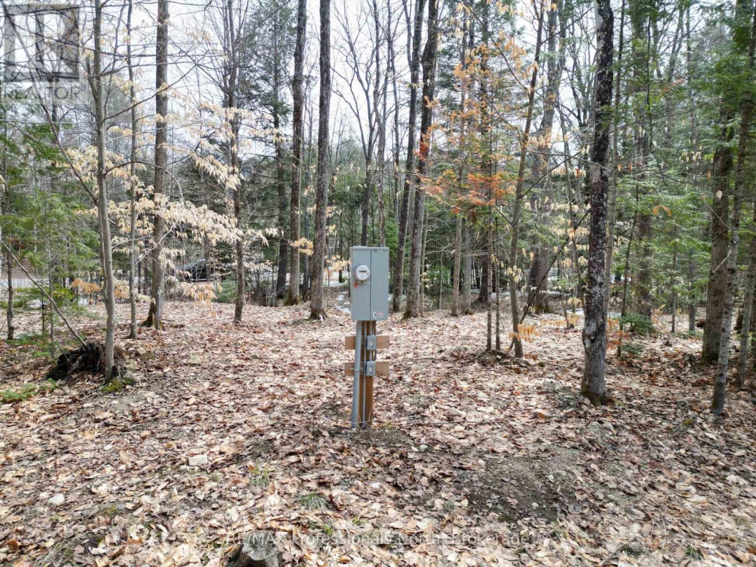 1231 BIG HAWK LAKE ROAD, Algonquin Highlands (Stanhope)