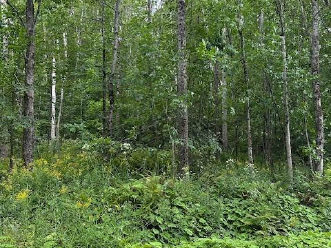 LOT SILVERWOOD ROAD, Minden Hills (Snowdon)