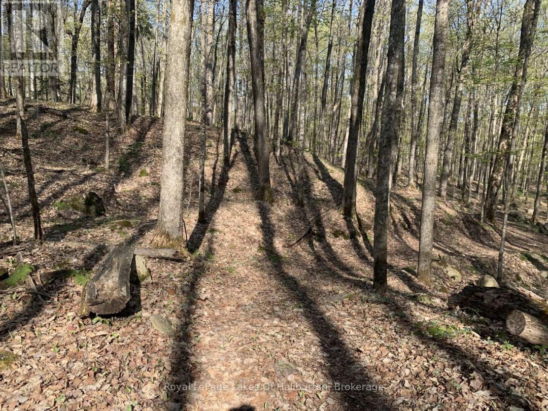 0 KASHAGAWIGAMOG LAKE ROAD, 