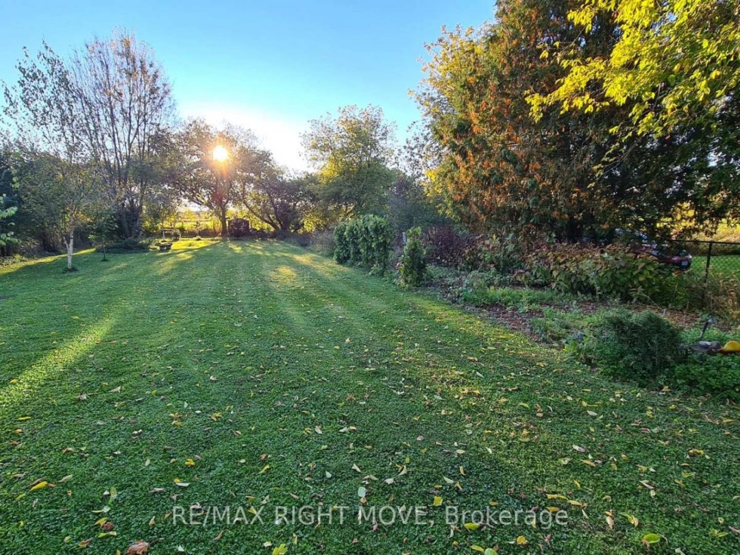 2344 12 HIGHWAY, Ramara (Brechin)