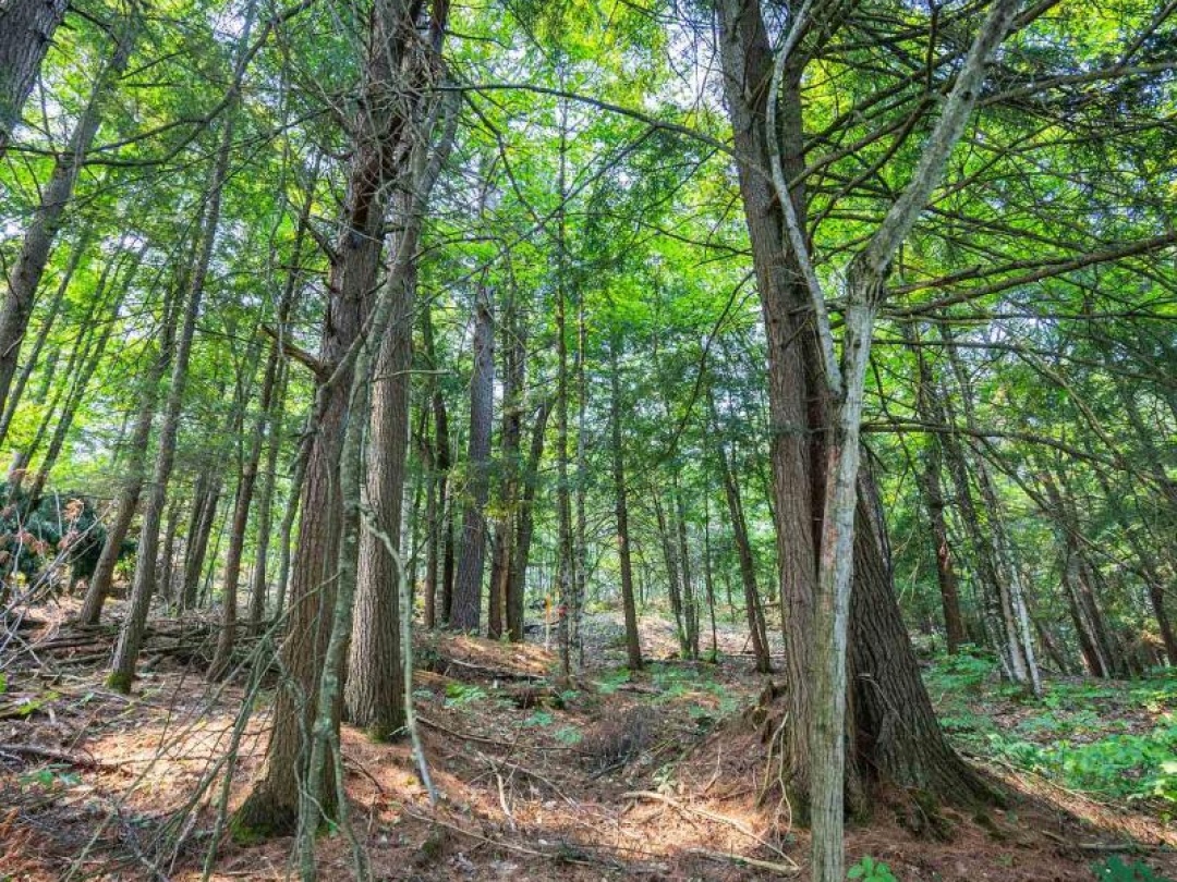LOT 13 4 WHEEL DRIVE, Severn River