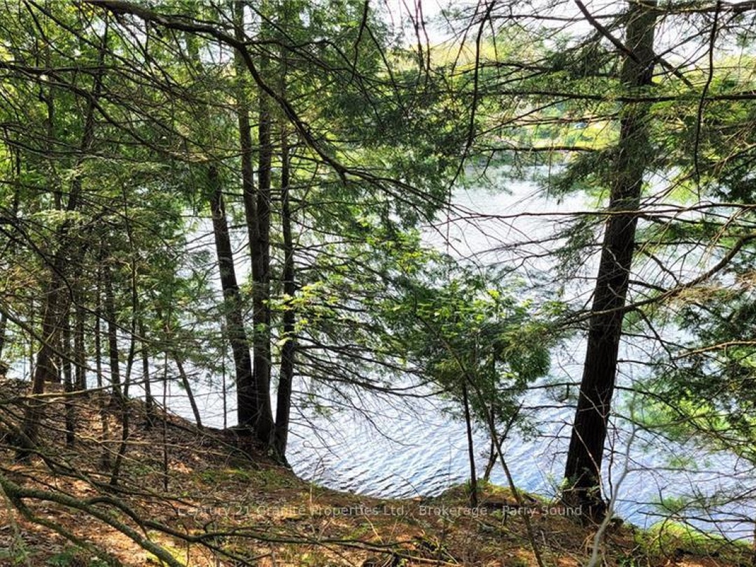 Lot2 Seguin River Estates Louisa Street, Parry Sound