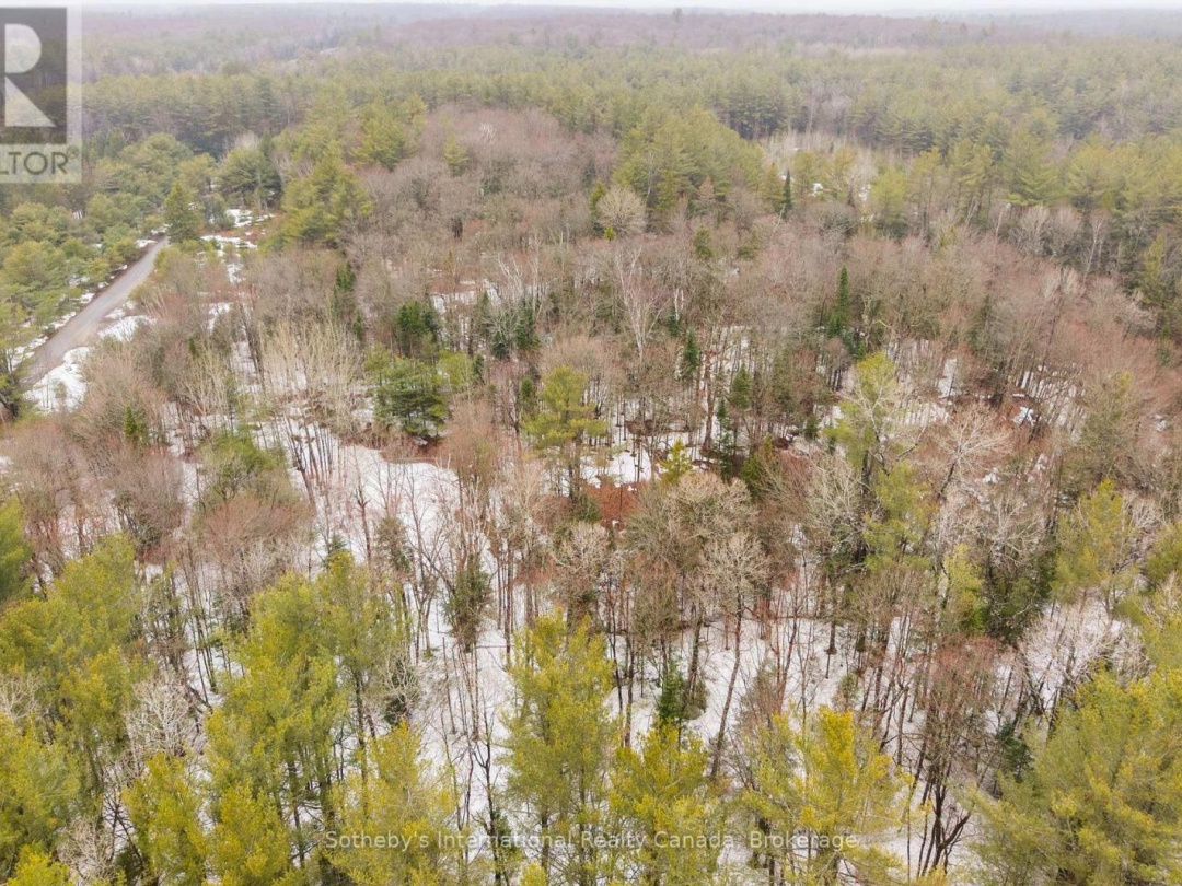 1000 ALPINE RANCH ROAD, North Branch Muskoka River