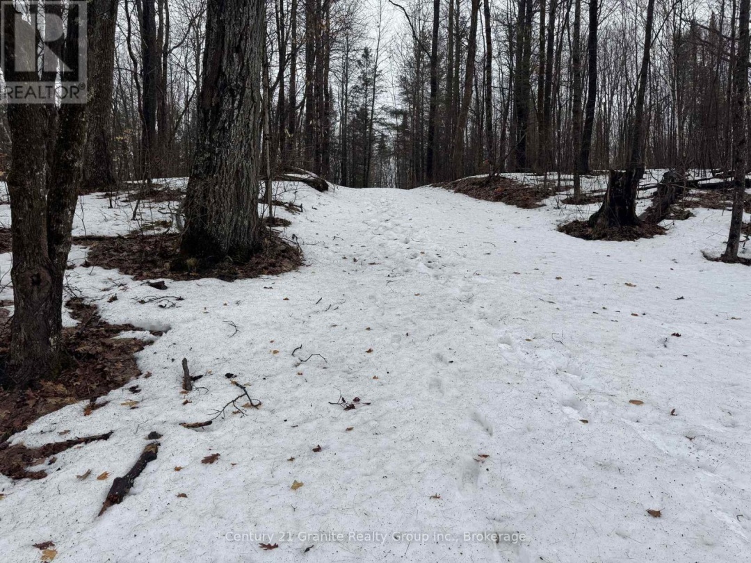 1037 ROTUNDA DRIVE, Contau Lake