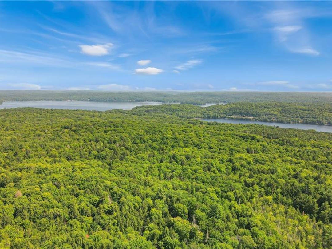 1842 Buckslide Road, Algonquin Highlands