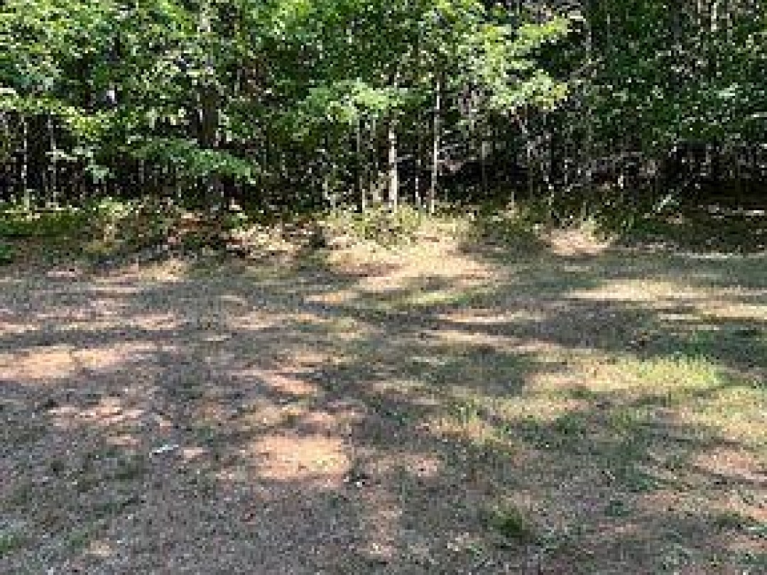 2875 COUNTY ROAD 21 ROAD, Minden Hills (Minden)