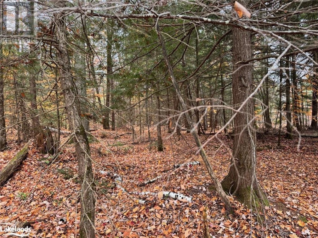 0 LATVIAN ROAD, Bracebridge (Draper)