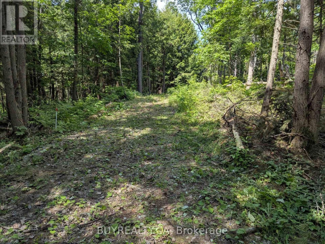2318 SHERWOOD FOREST LANE, Severn River