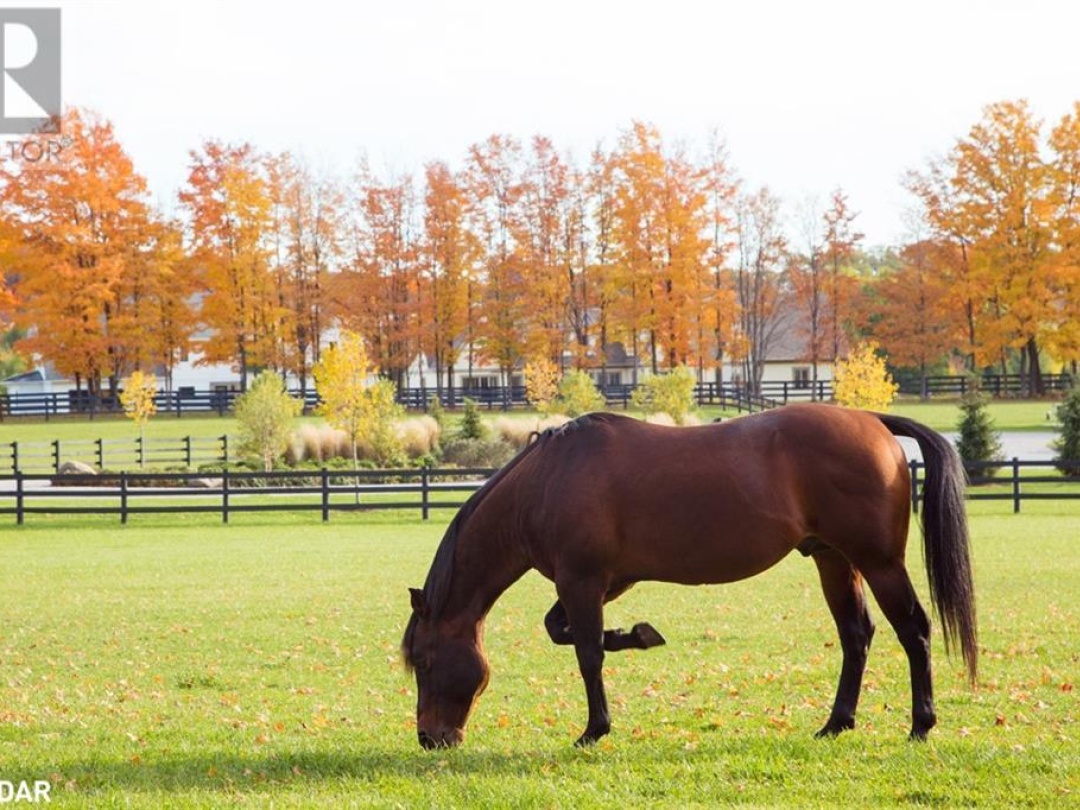 Lt 38 Friesian Court, Oro-Medonte