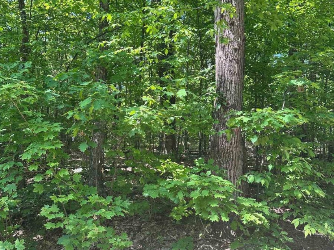 1527 MADILL ROAD, Highlands East (Monmouth)