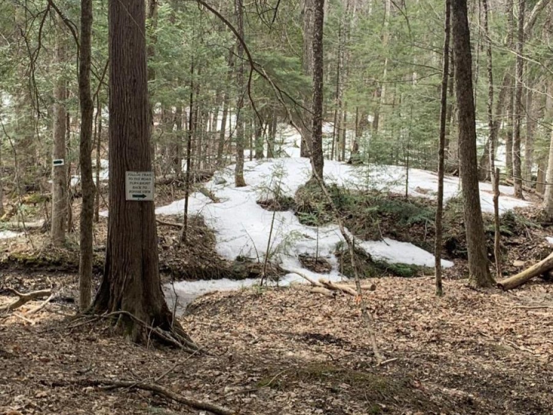 0 KASHAGAWIGAMOG LAKE ROAD, Dysart et al (Dysart)