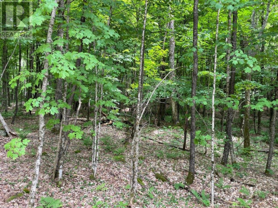 1350 HALIBURTON LAKE RD, Dysart et al (Dysart)