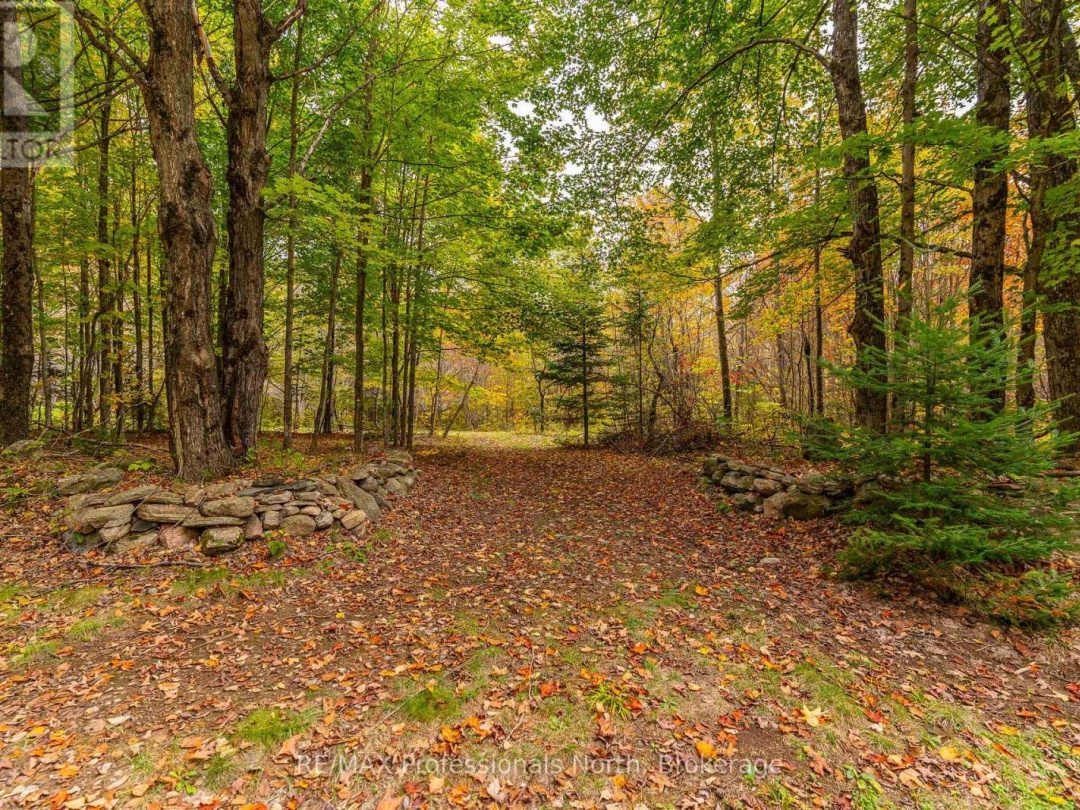 1600 BOBCAYGEON ROAD, Minden Hills (Minden)