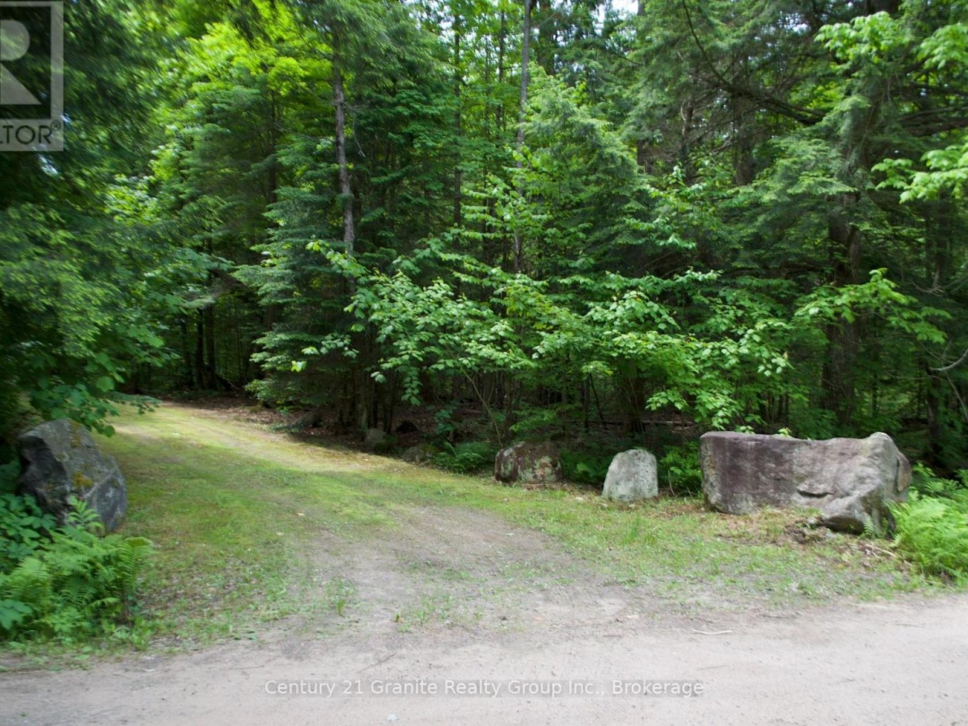 LOT 10 LOON LAKE ROAD S, Loon Lake