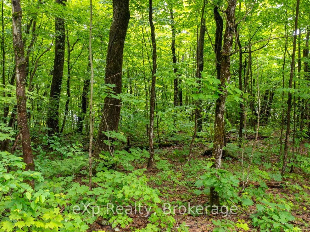 3 KINGFISHER ROAD, Trout Lake