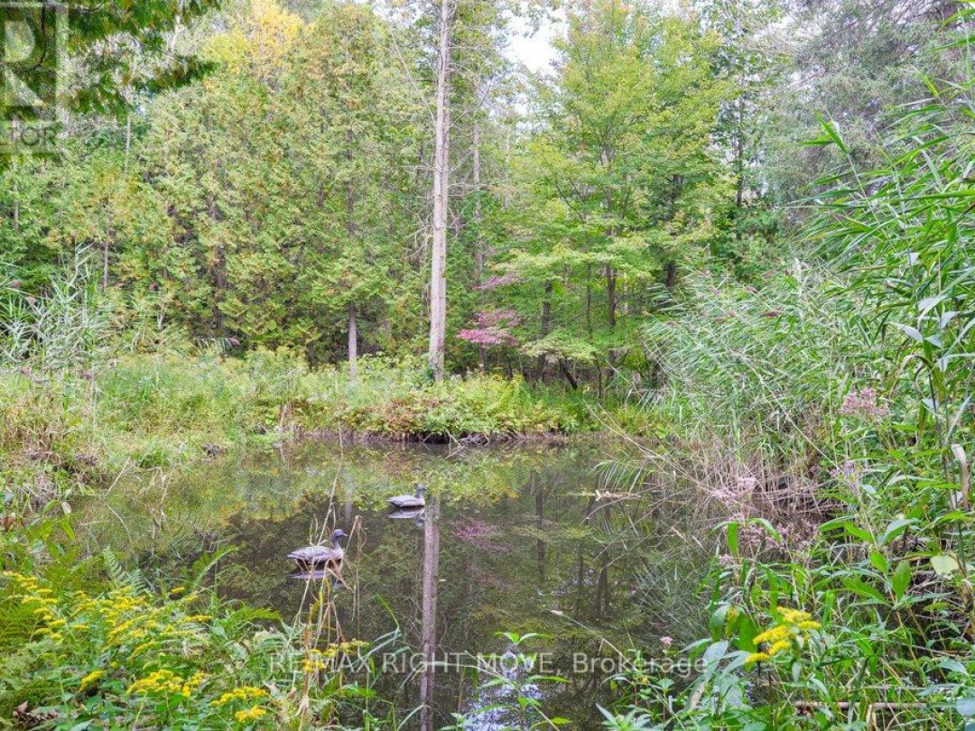 1390 Warminster Side Road, Oro-Medonte