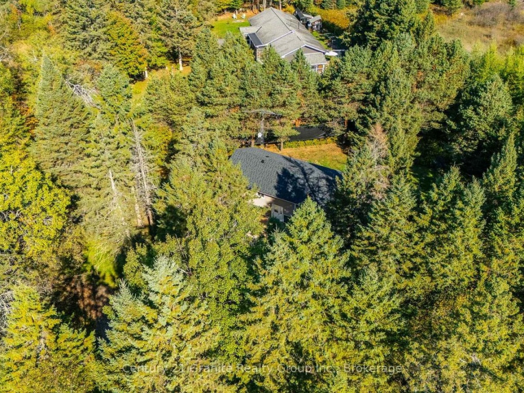 4739 GELERT ROAD, 