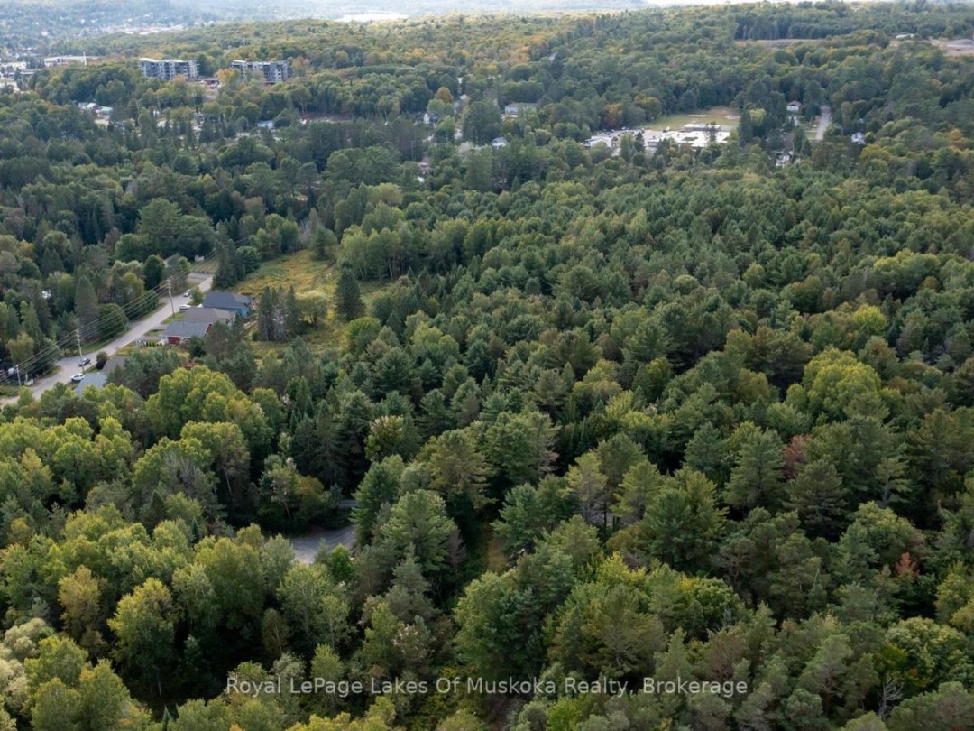 100 CHAFFEY TOWNSHIP ROAD, 