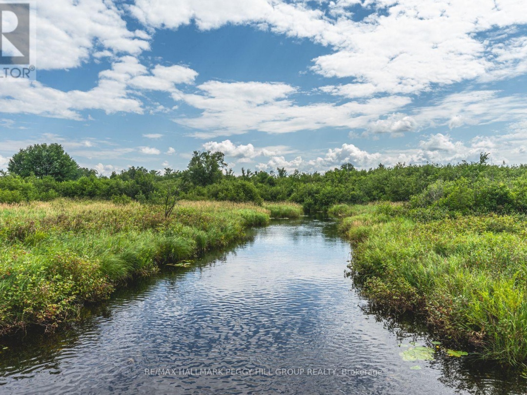 LOT 5 CONCESSION 5, Kawartha Lakes (Carden)