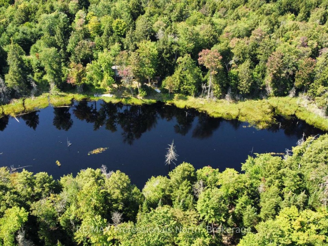 LOT 32 CONCESSION 5, Round Pond