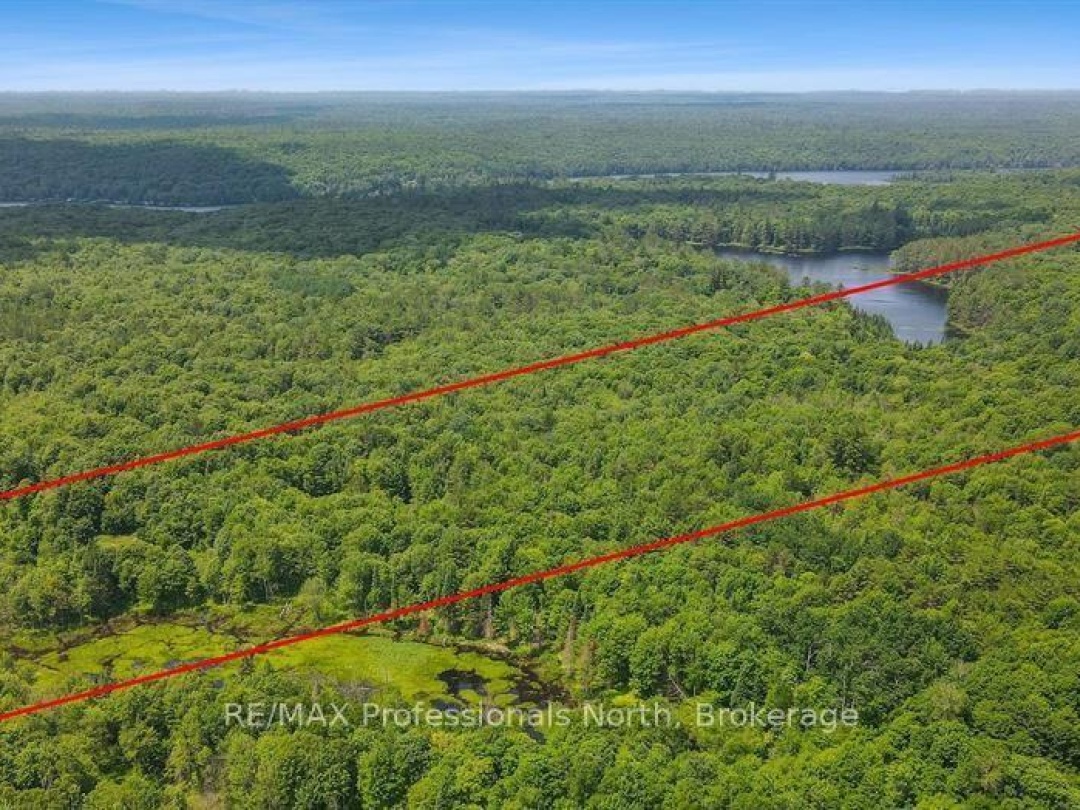 1134 WALKERS LINE ROAD, 