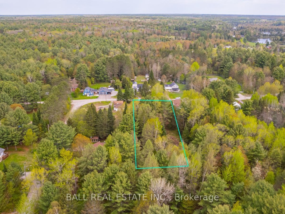 0 THE AVENUE, Kawartha Lakes (Kinmount)