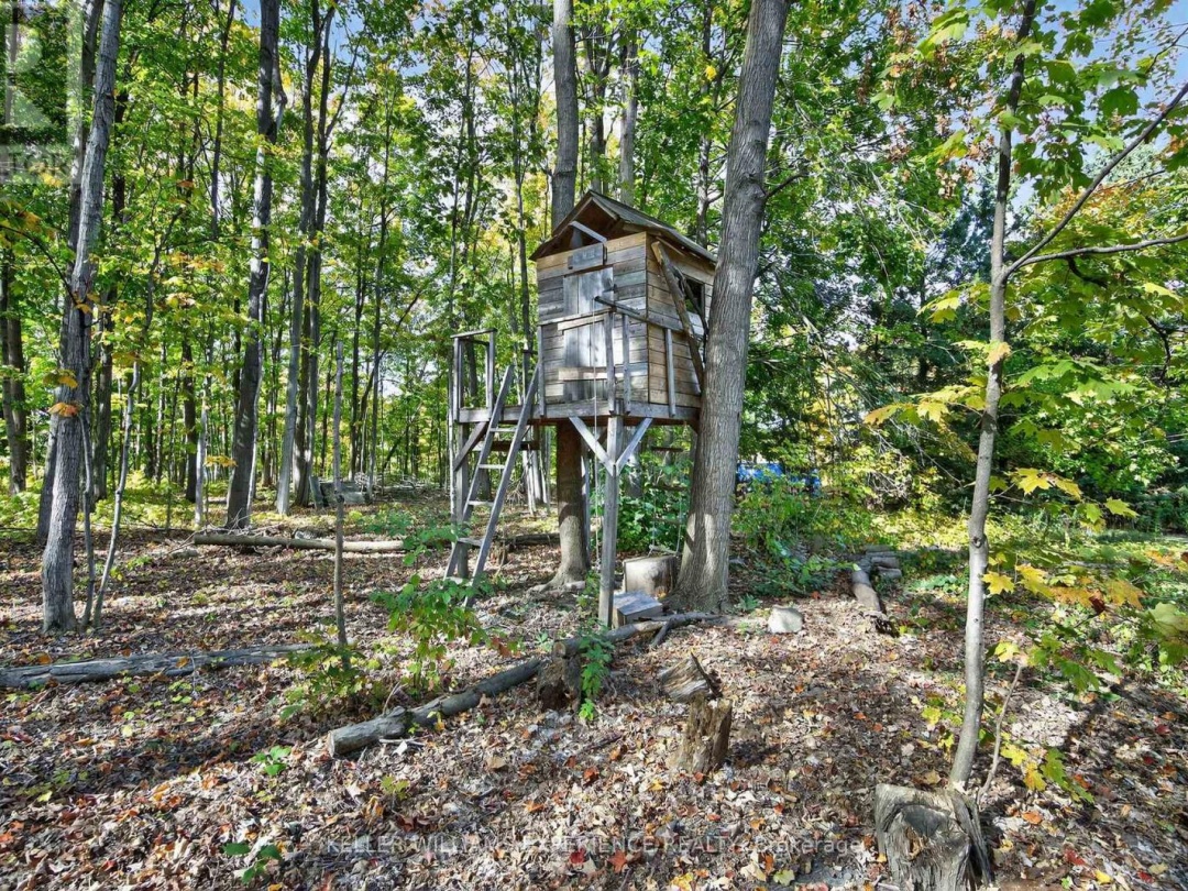 10 CONDER DRIVE, 