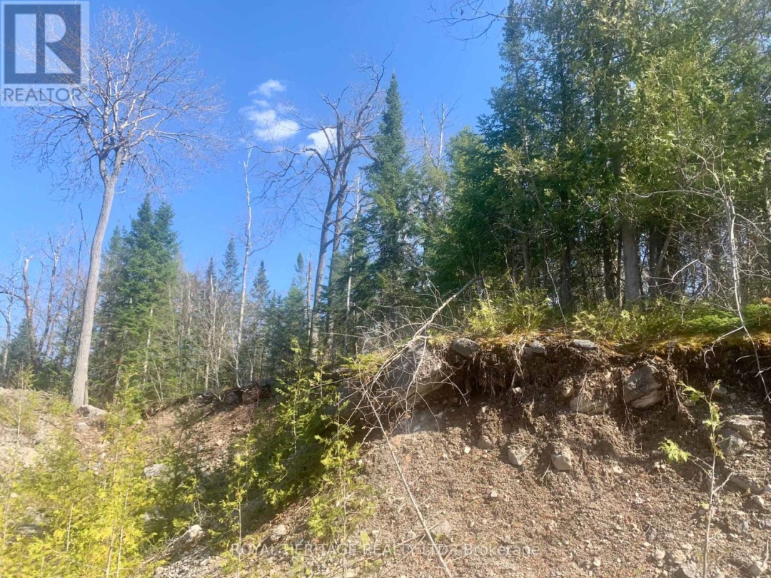 0 PT LT 32 COUNTY ROAD 49 ROAD, Trent Lakes