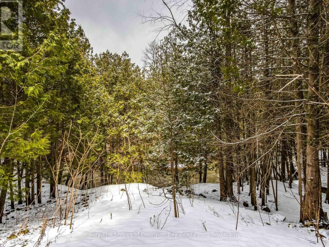 399 DAWSON'S SIDE ROAD, 