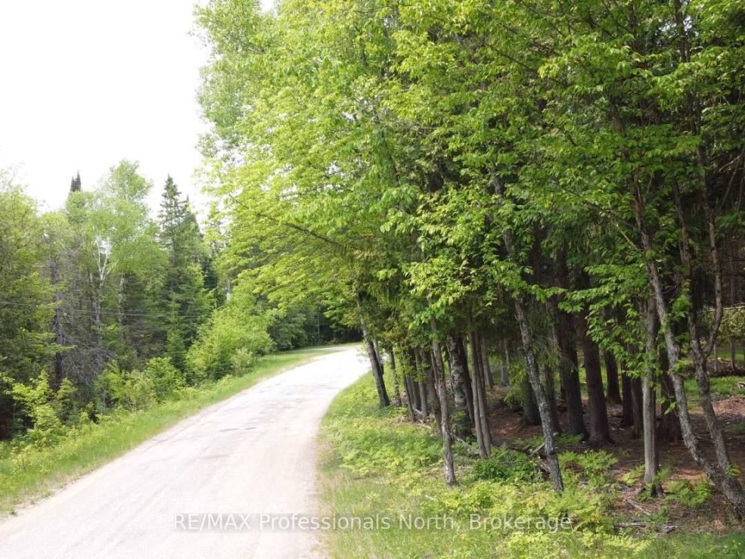 1897 BLAIRHAMPTON ROAD, Minden Hills (Minden)