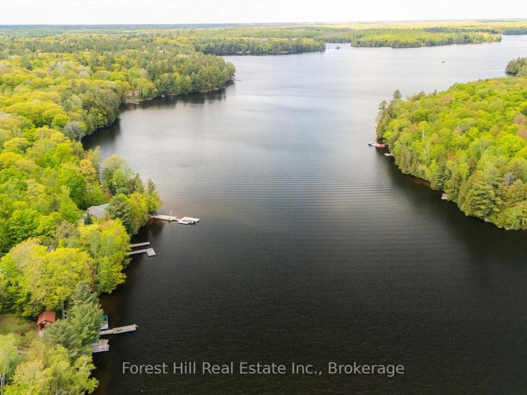 445 LORIMER LAKE ROAD, Lorimer Lake