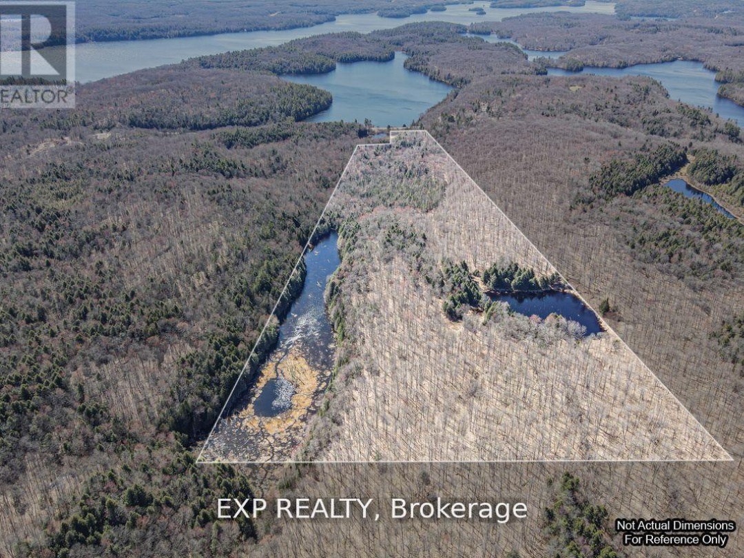 3349 DEEP BAY ROAD, North Pigeon Lake