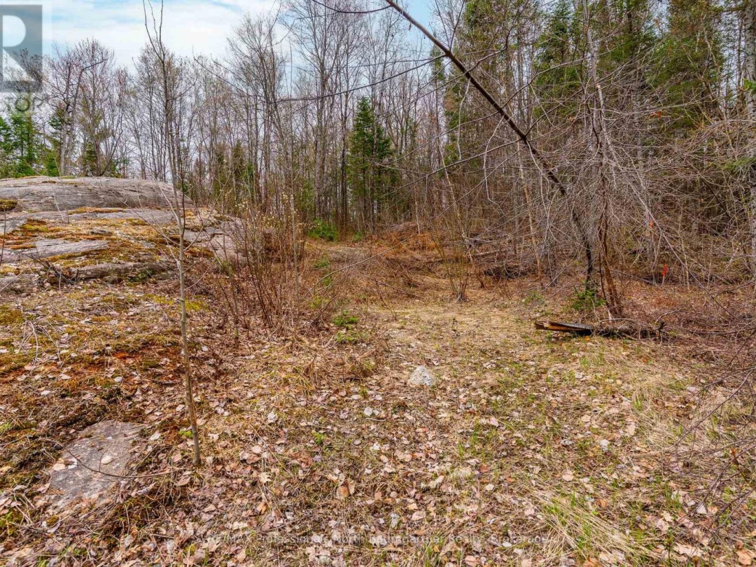 0 BRADY LAKE ROAD, Brady Lake