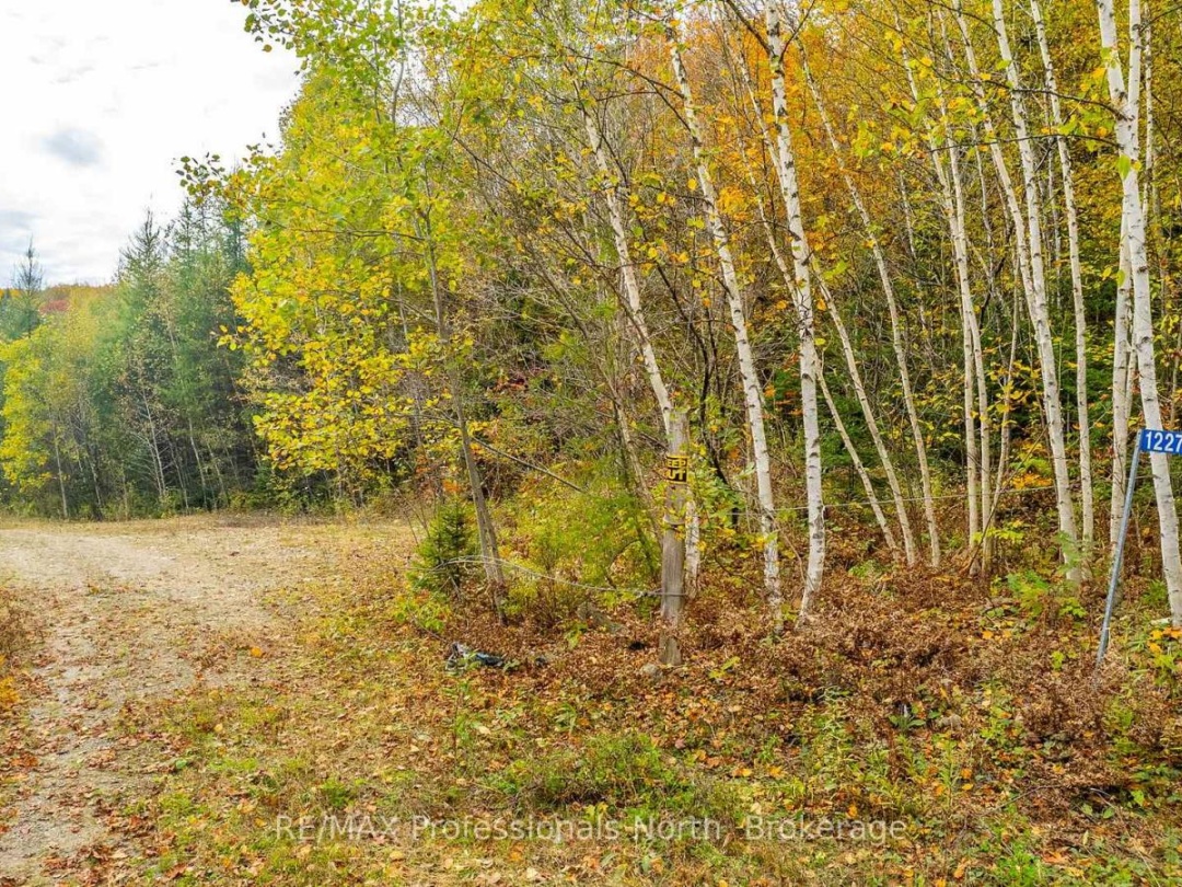 1600 BOBCAYGEON ROAD, Minden Hills (Minden)