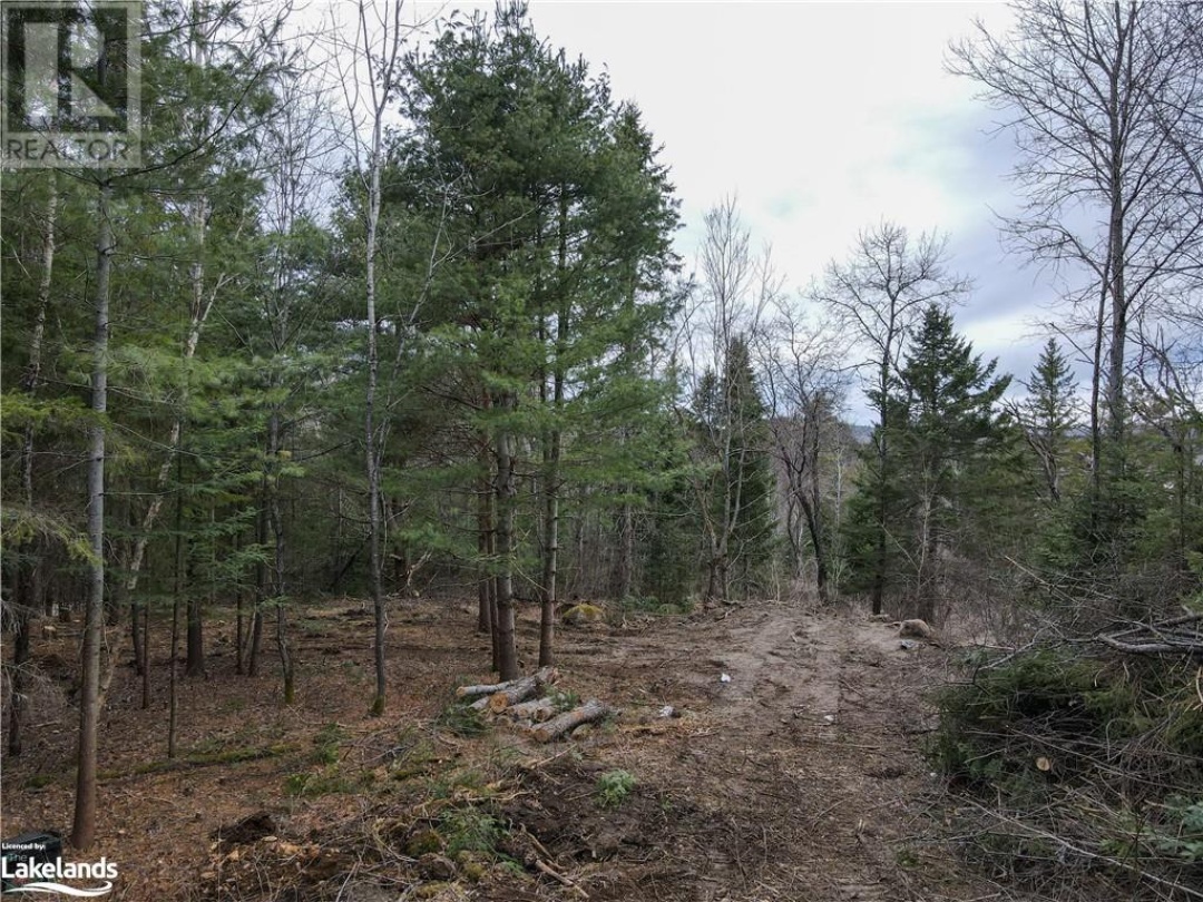 0 Old Muskoka Road Unit# Lot 2, Emsdale