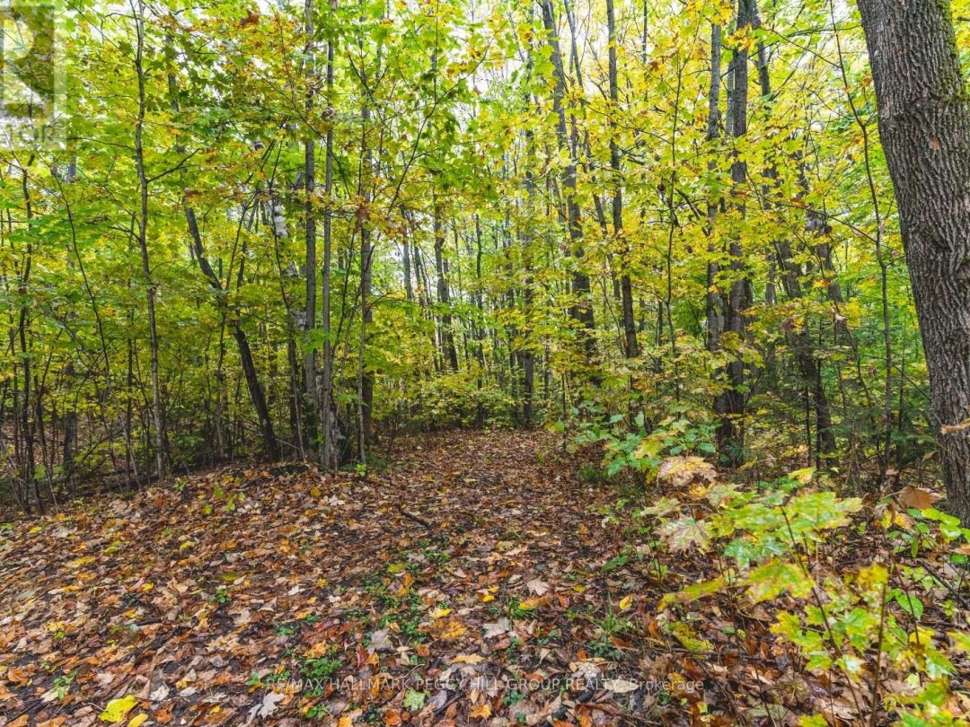 LT23&24 CON 8, Oro-Medonte