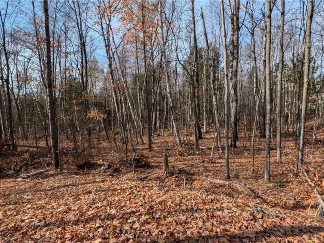 Lot 1 Tally Ho Winter Park Road, Lake Of Bays