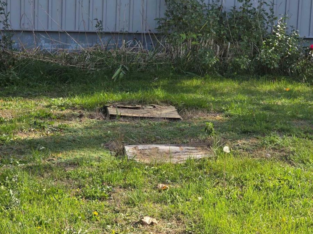 183 MCGUIRE BEACH ROAD, 