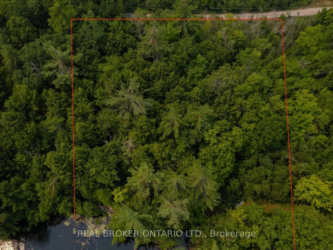 LOT 13 4 WHEEL DRIVE, Severn River