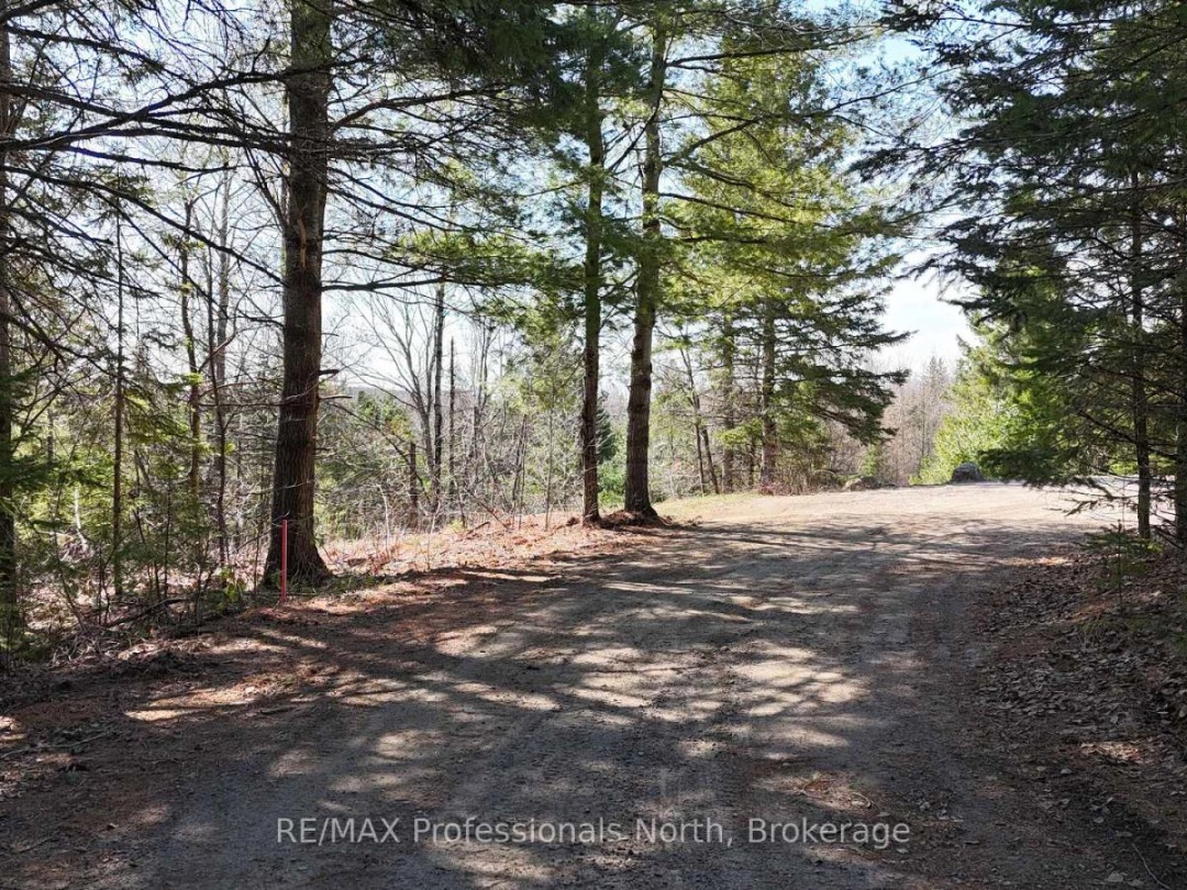 10916 HIGHWAY 503 HIGHWAY, Highlands East (Glamorgan)