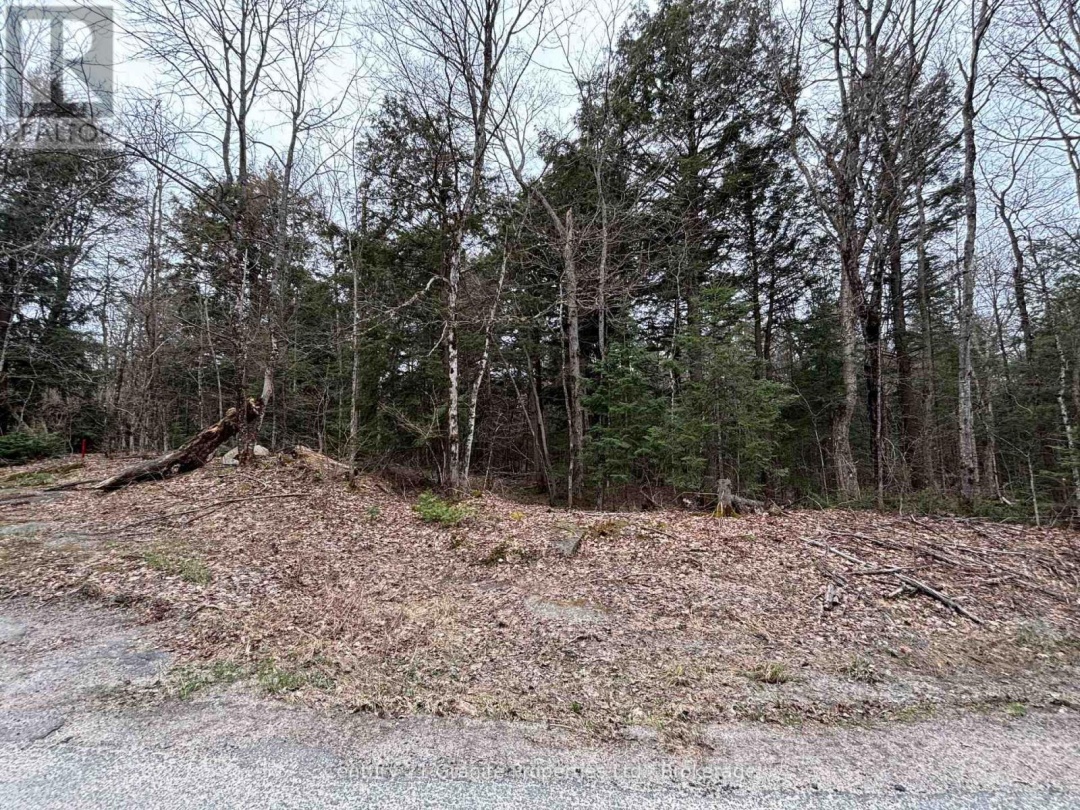 LOT 1 LOCH ERNE ROAD, McDougall