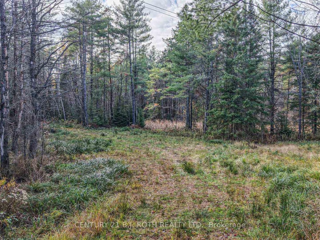 1036 HOPKINS ROAD, Gravenhurst (Ryde)