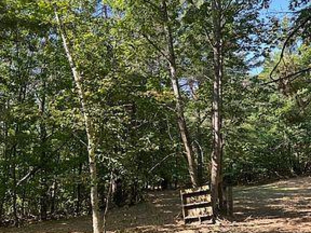 2875 COUNTY ROAD 21 ROAD, Minden Hills (Minden)