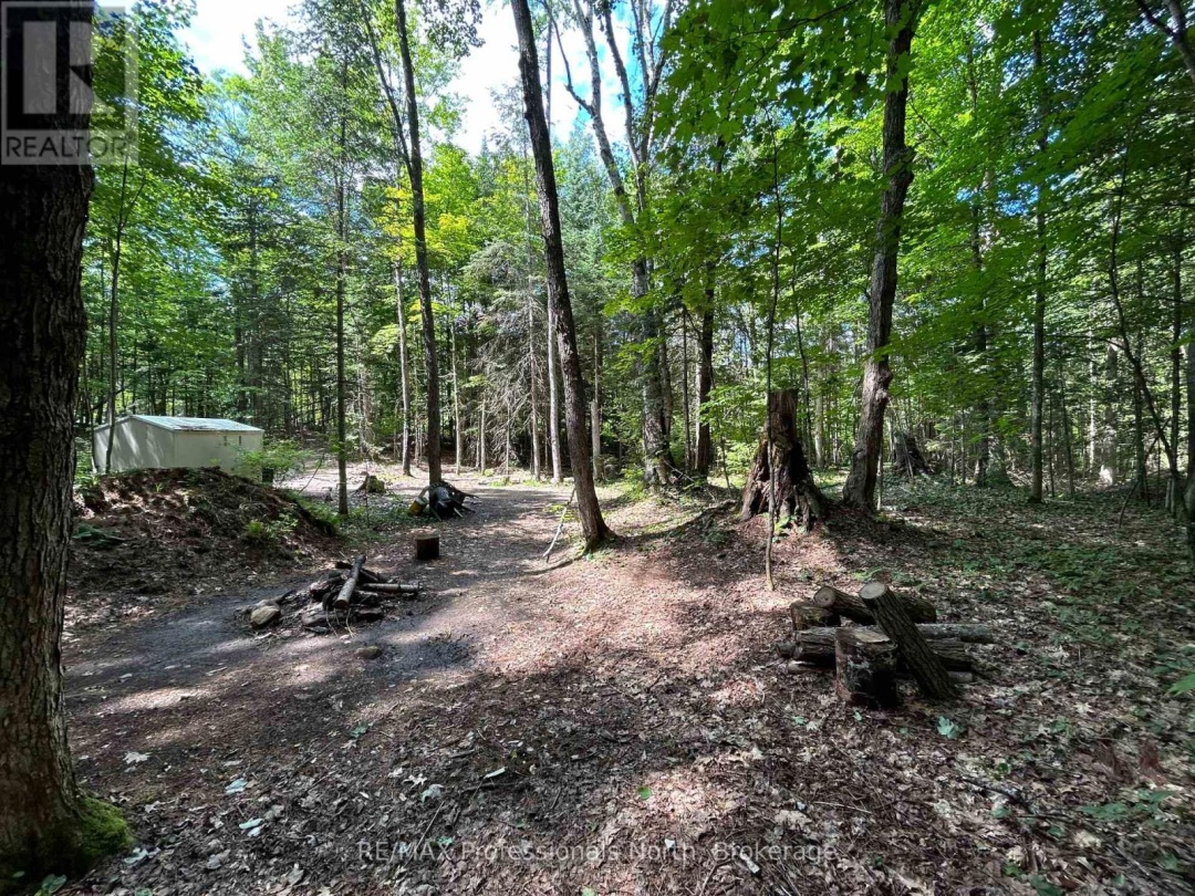 1124 LITTLE HAWK LAKE ROAD, Algonquin Highlands (Stanhope)
