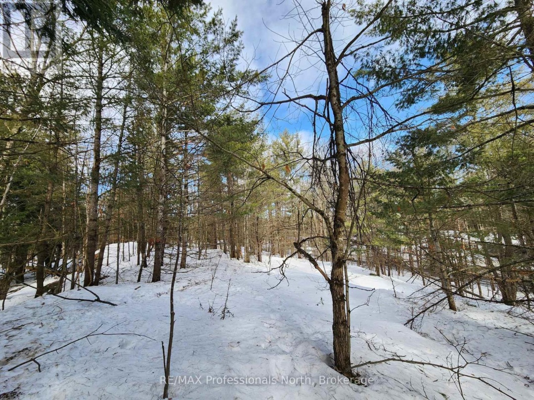 00 MANITOBA STREET, Bracebridge (Macaulay)