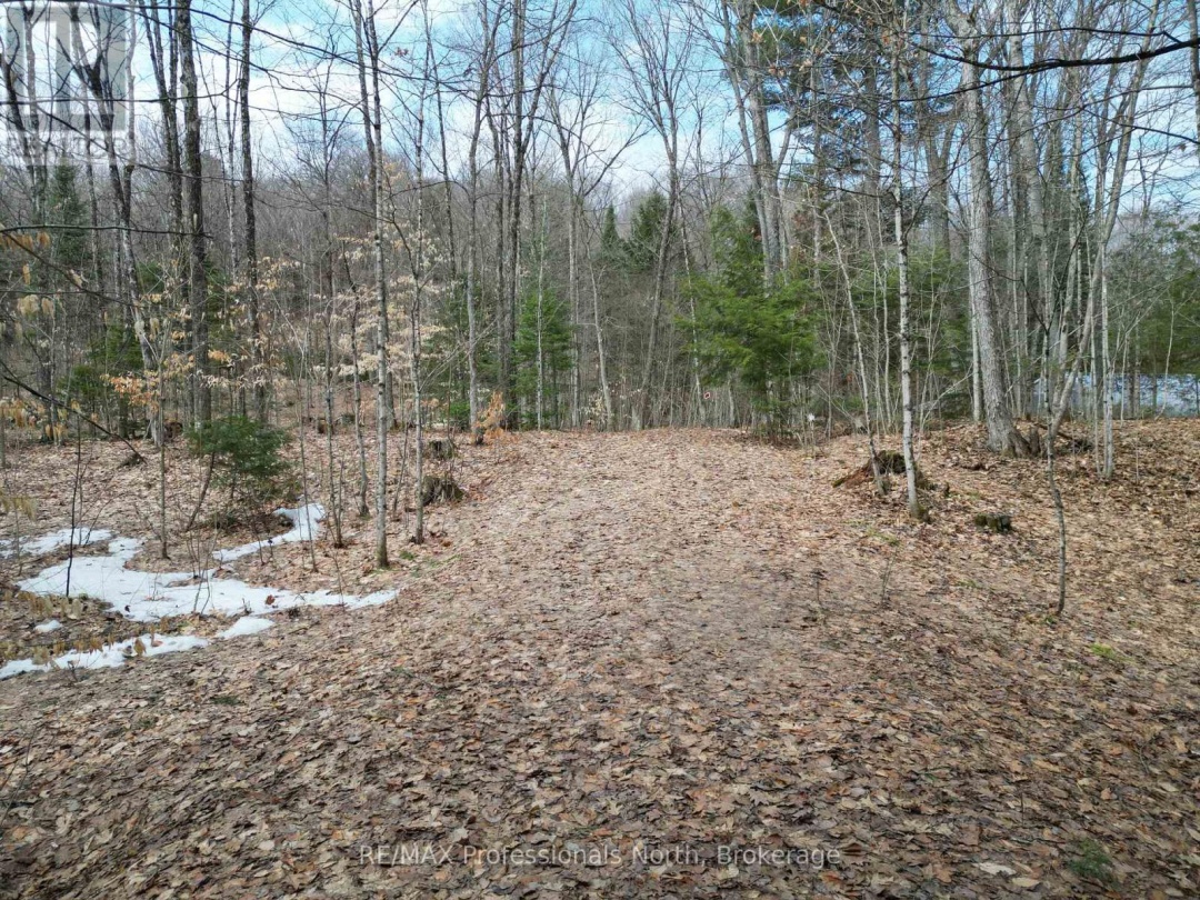 1231 BIG HAWK LAKE ROAD, Algonquin Highlands (Stanhope)